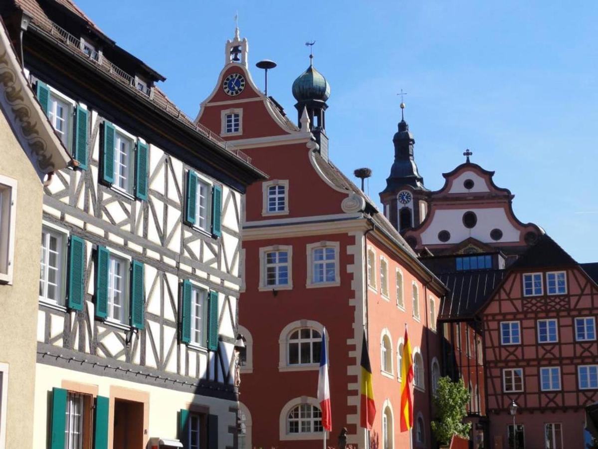 Perfekt Fuer Familien Und Gruppen Nur 10Min Vom Europapark - W6 Lägenhet Ettenheim Exteriör bild